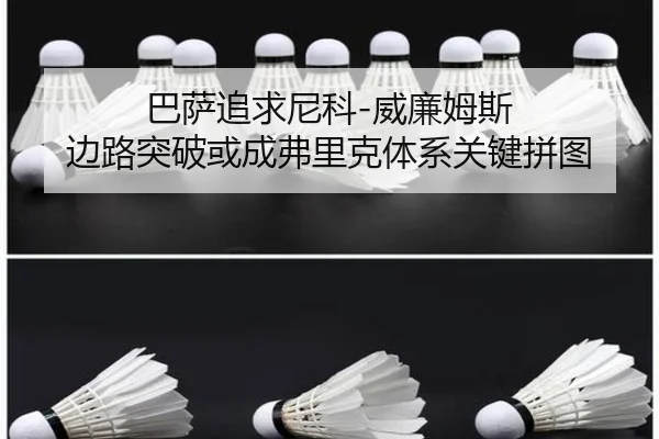 ba-sa-zhui-qiu-ni-ke-wei-lian-mu-si-bian-lu-tu-po-huo-cheng-fu-li-ke-ti-xi-guan-jian-pin-tu-2-556.jpg